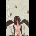 �������� �������&nbsp;bilopsis&nbsp;� ������ �������